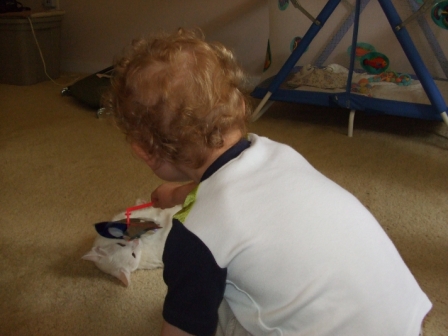 Brian playing with Sylvia